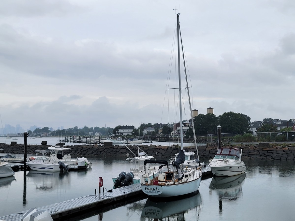 Delivering Tartar Sauce