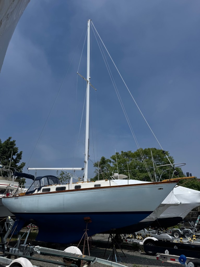 The view we were greeted with when we met our lovely Tartan. 